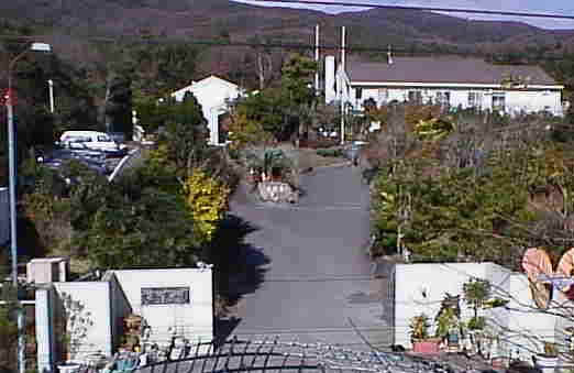 大島恵の園