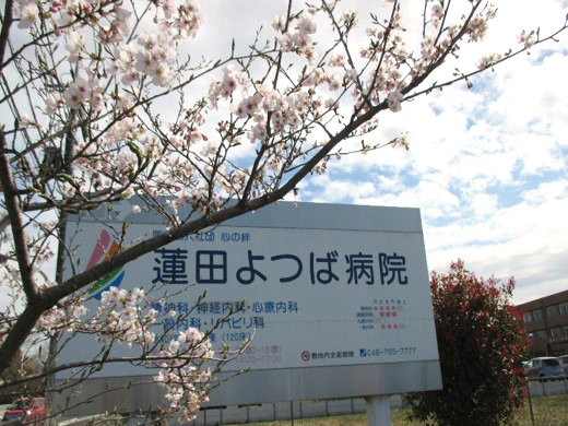 蓮田よつば病院