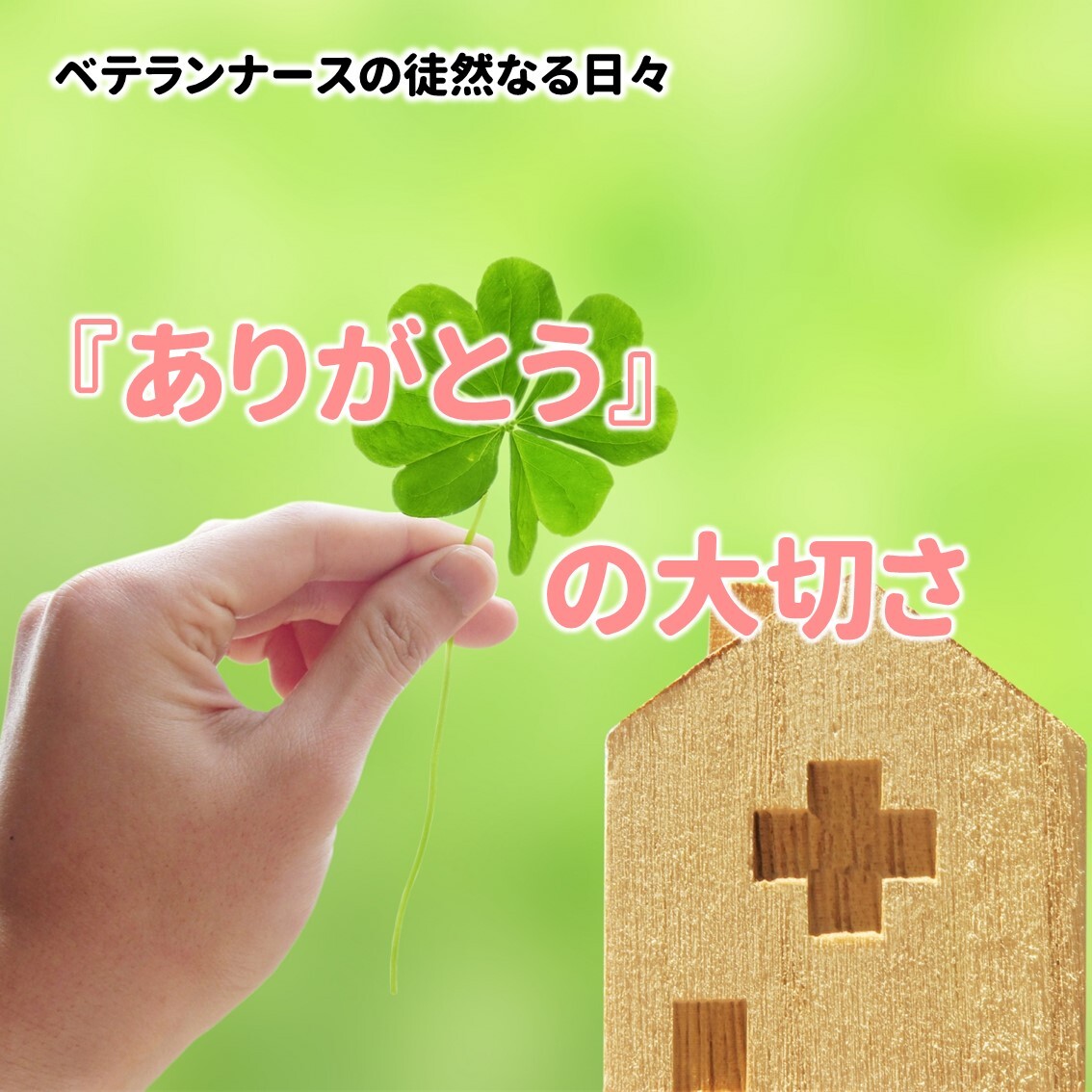 ベテランナースの徒然なる日々