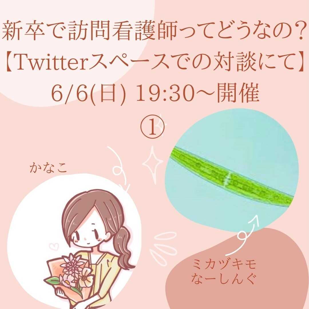 新卒で訪問看護師ってどうなの？～twitterスペース対談にて～