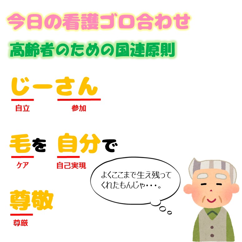 高齢者のための国連原則