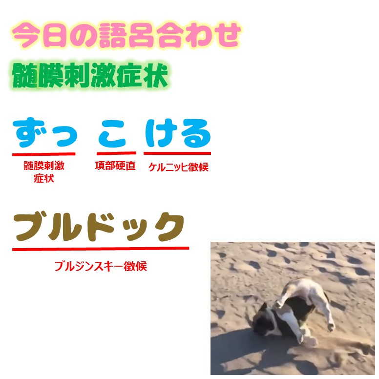 髄膜刺激症