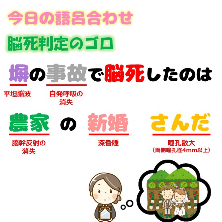 脳死判定