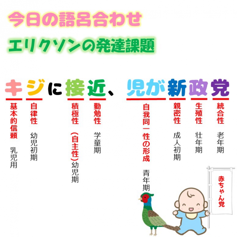 理論 エリクソン の 発達