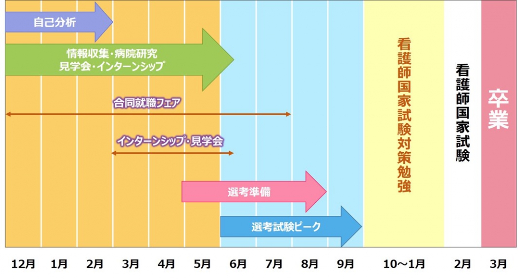 就職活動全体のスケジュール